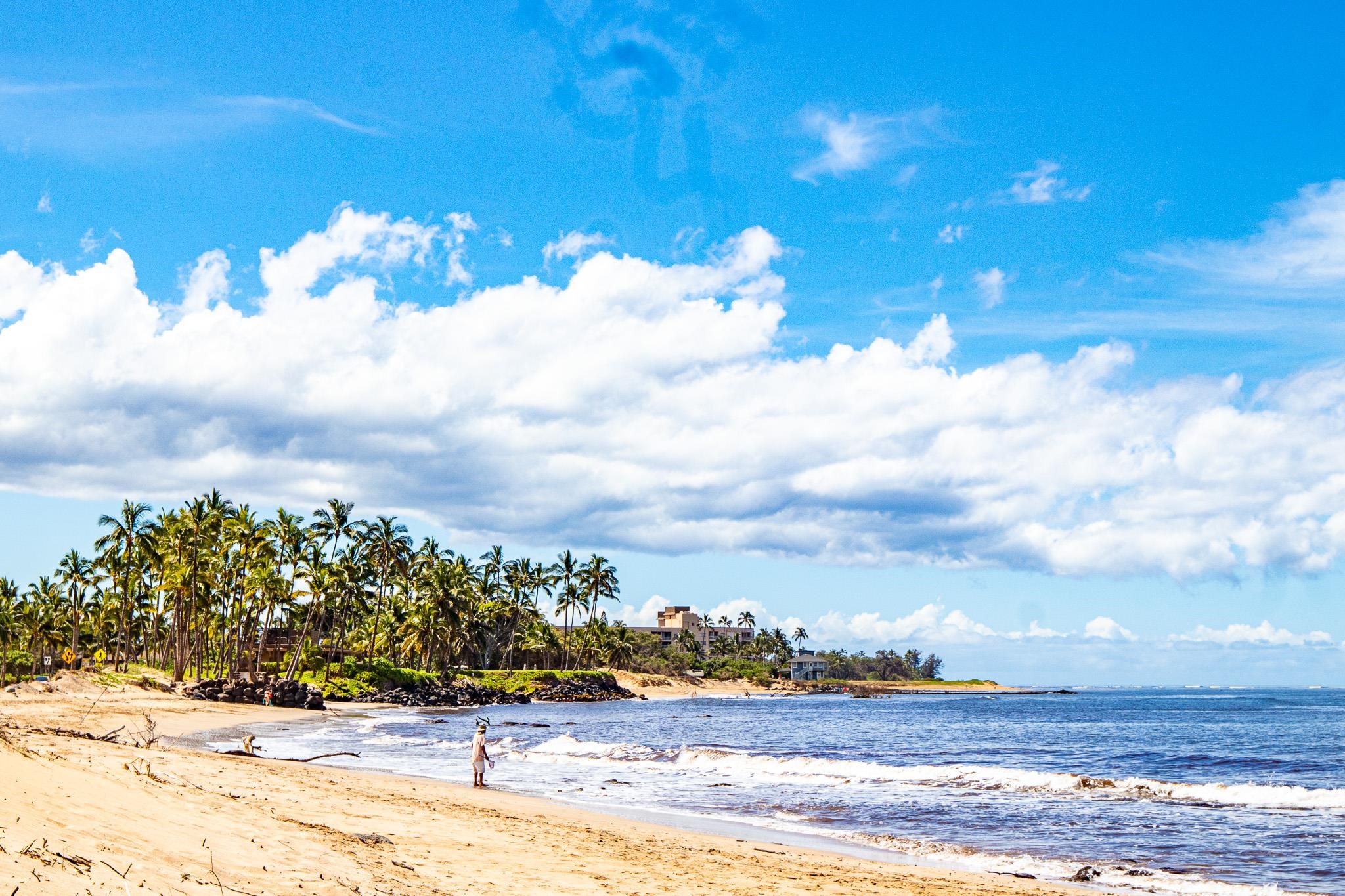 483 South Kihei Road, Unit 217 Kihei, HI 96753 - Photo 19 of 22 a view of a lake with houses