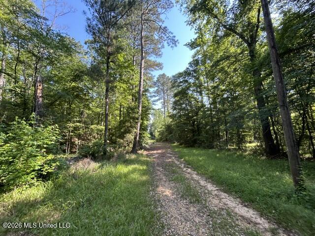 Parker Road Crosby, MS 39633 - Photo 2 of 16 IMG_4208