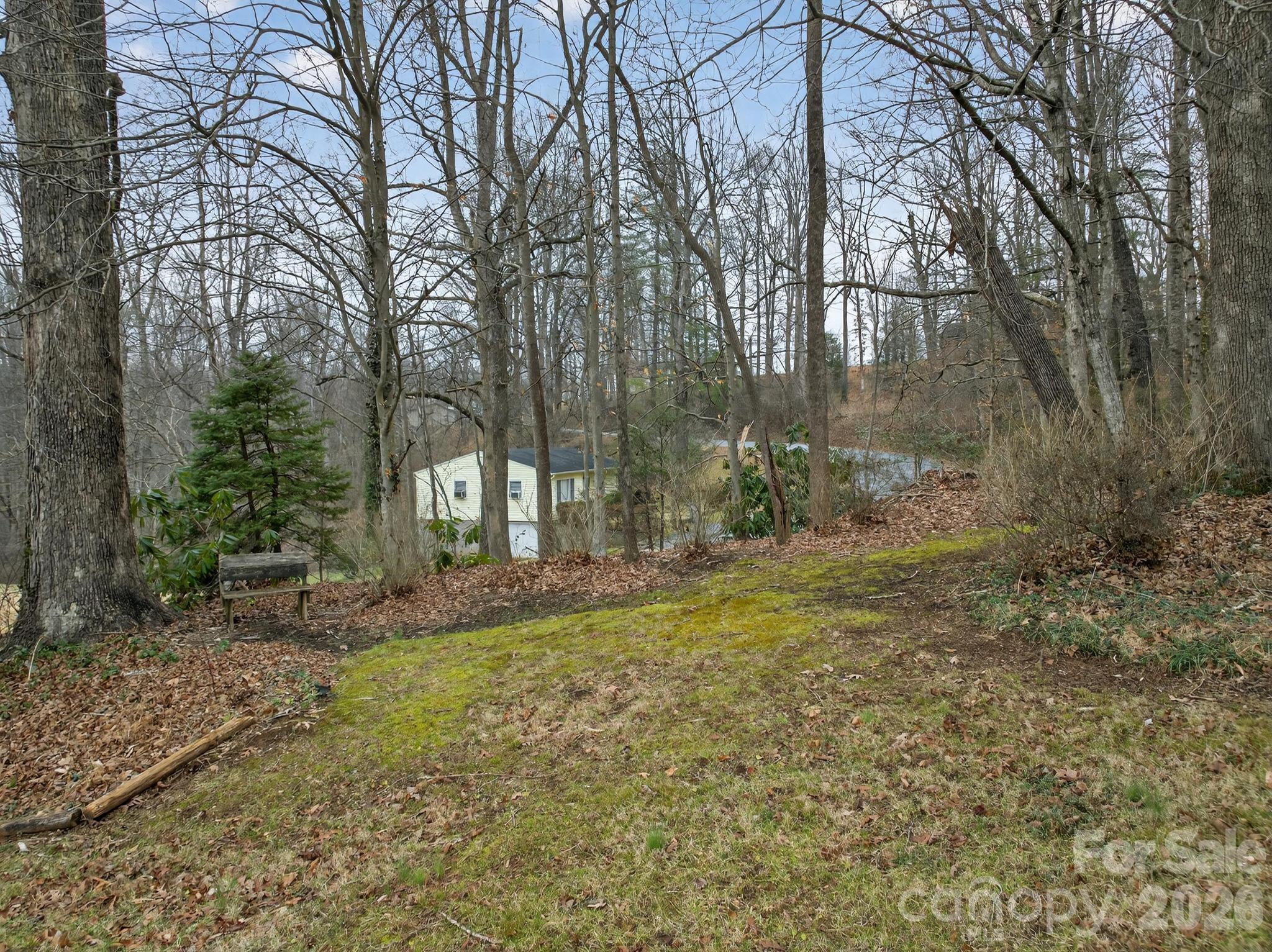 408 Spring Street Northwest Lenoir, NC 28645 - Photo 4 of 47 a view of a yard with plants and trees