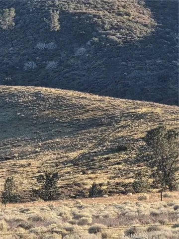 $275,000 | 25 3points Lake, Lake Hughes, CA 93532