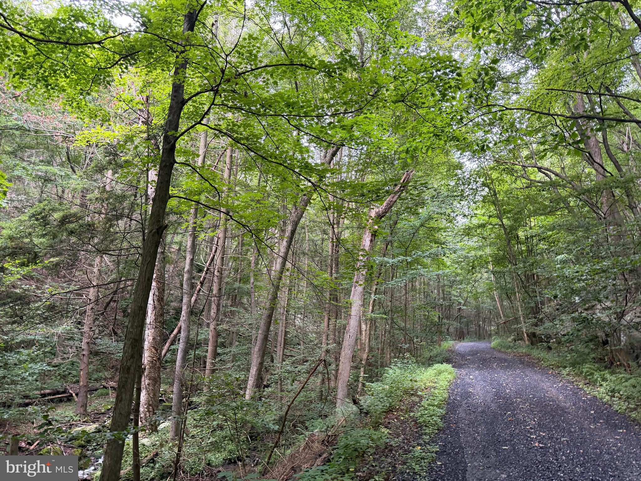 Three Laurel Mountain Road Three Springs, PA 17264 - Photo 29 of 74 Gallery Image 29
