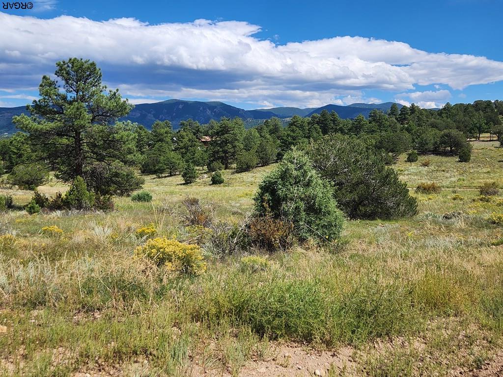 15 Arroyo Road Westcliffe, CO 81252 - Photo 9 of 29 Gallery Image 9