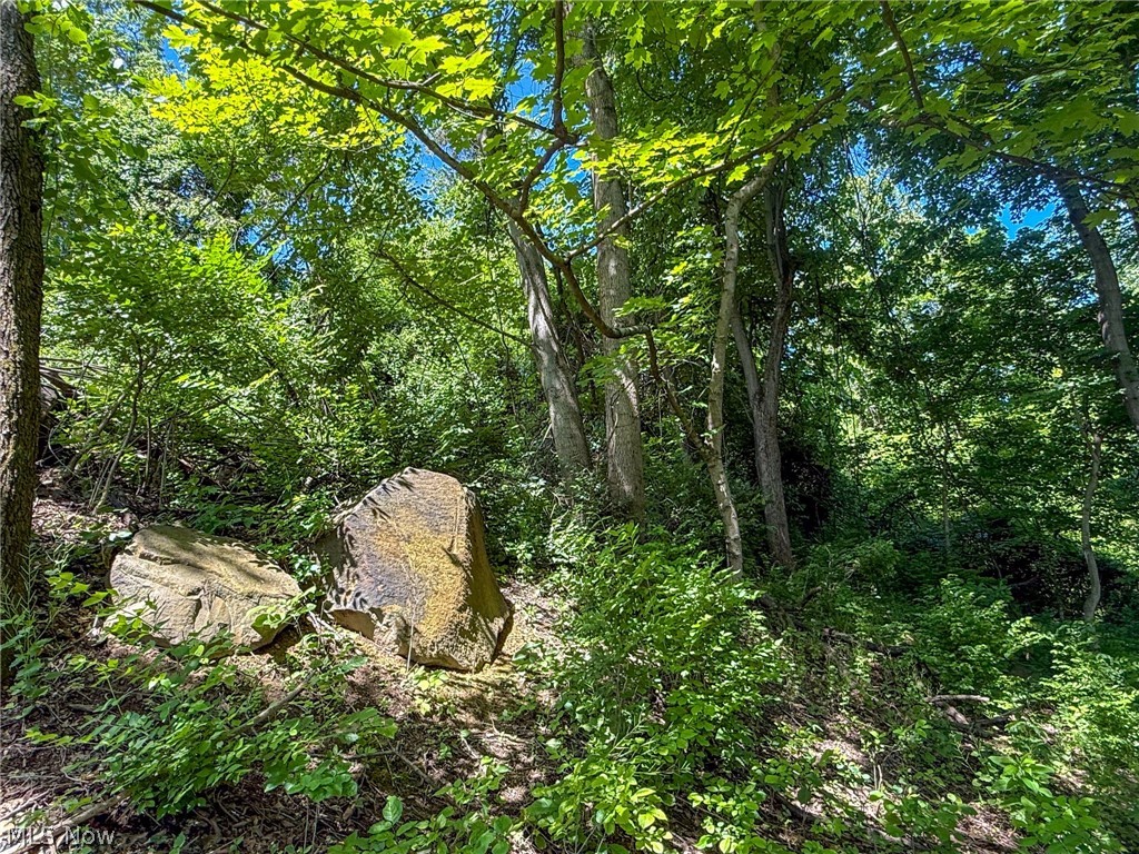 Lot 3 Altamont Road Mingo Junction, OH 43938 - Photo 25 of 32 Gallery Image 25