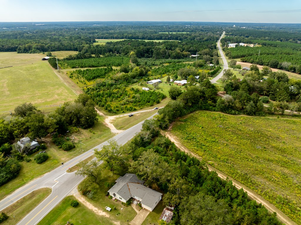 95 (columbia Rd) Road Abbeville, AL 36310 - Photo 20 of 41