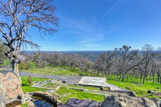 a huge green field with lots of trees
