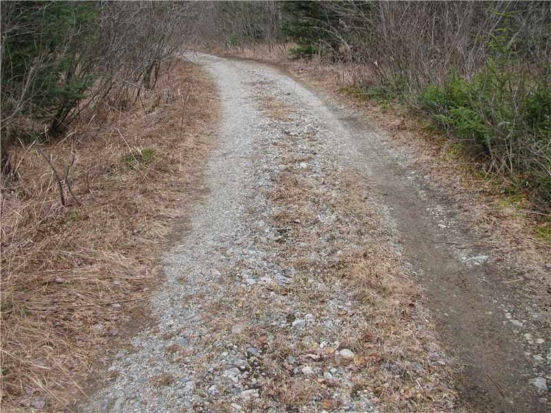 Lot#50 Chambers Point Road Roque Bluffs, ME 04654 - Photo 5 of 5 Other. This lot has power, been...