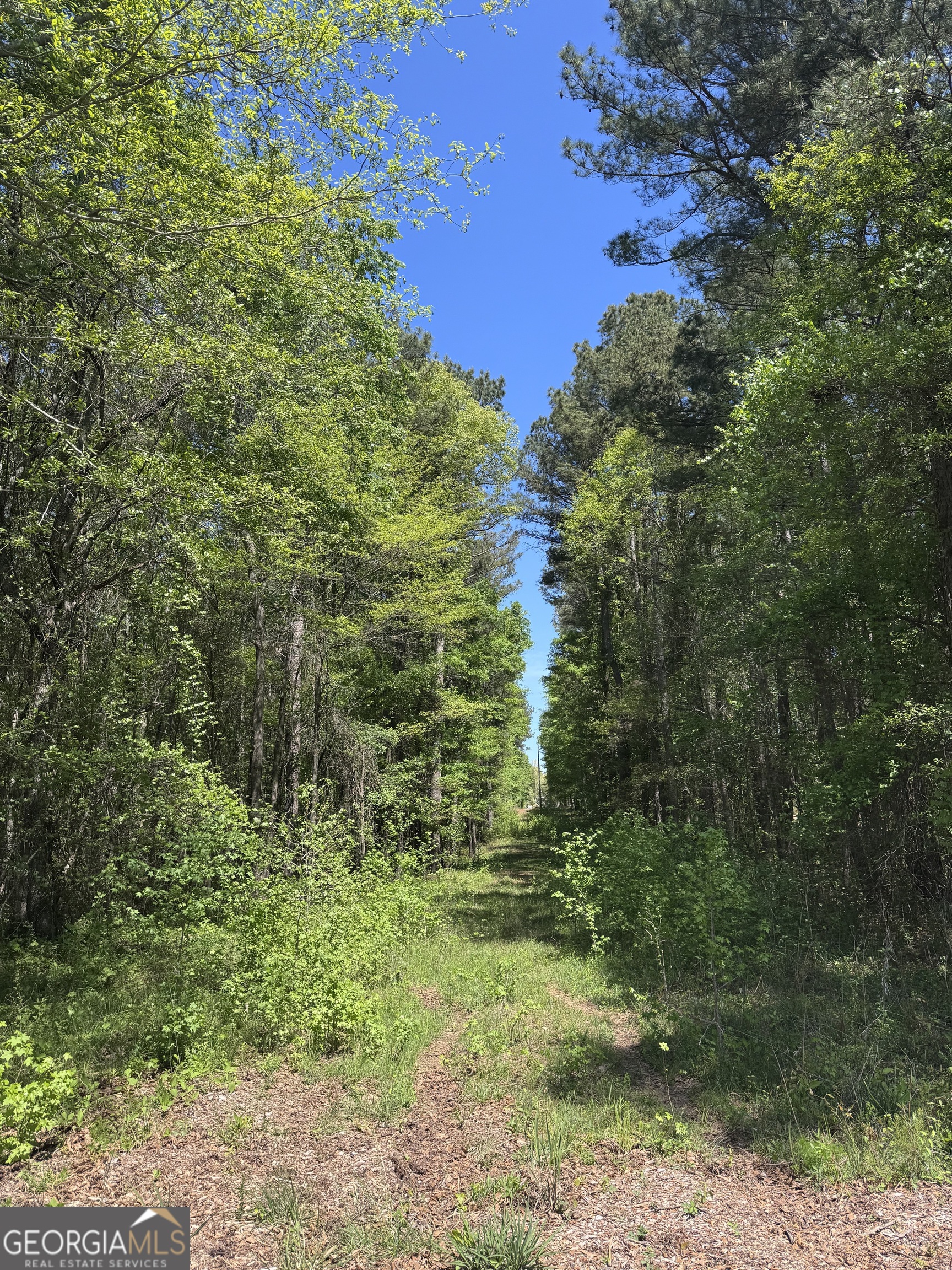 0 Roquemore Road, Unit LOT 3 Athens, GA 30607 - Photo 2 of 18