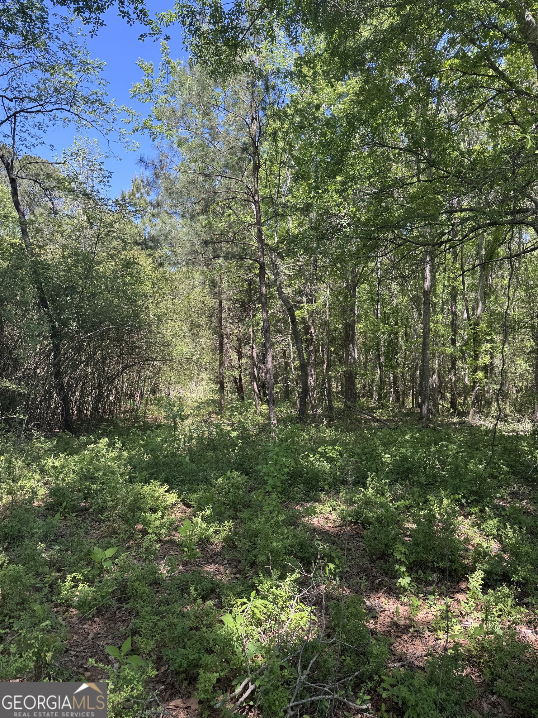 0 Roquemore Road, Unit LOT 3 Athens, GA 30607 - Photo 4 of 18
