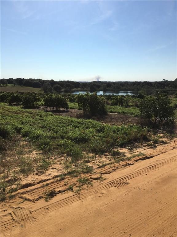 Ruby Lee Road Clermont, FL 34711 - Photo 1 of 1 VIEW OF GROVE FROM RUBY LEE ROAD