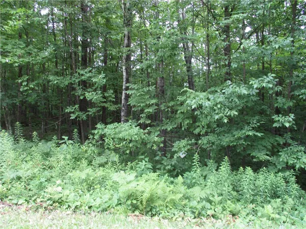 $15,000 | Lot #99 Woods Avenue, Birchwood, WI 54817