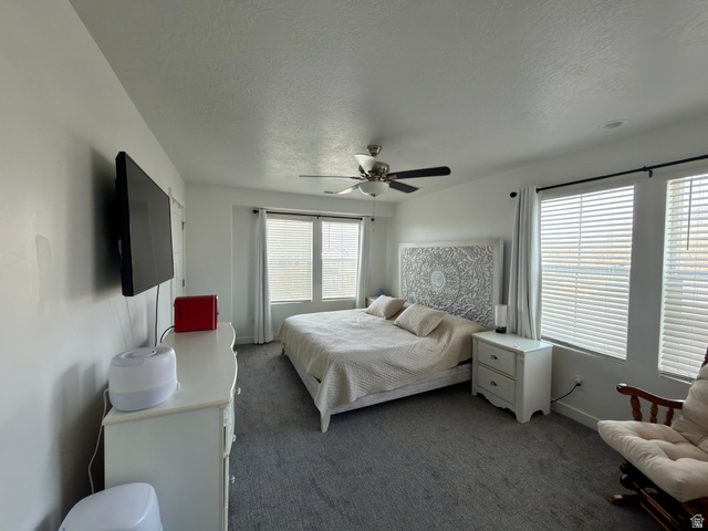 327 West Main Street, Unit 14 Santaquin, UT 84655 - Photo 9 of 20 Bedroom with a textured ceiling, multiple windows, a ceiling fan, and dark colored carpet
