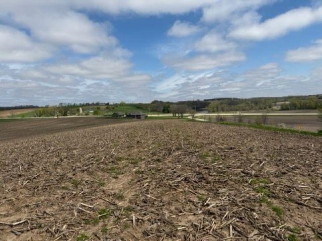 Madison Road, Unit 2 Mayville, WI 53050 - Photo 12 of 14