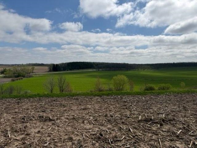 Madison Road, Unit 2 Mayville, WI 53050 - Photo 14 of 14