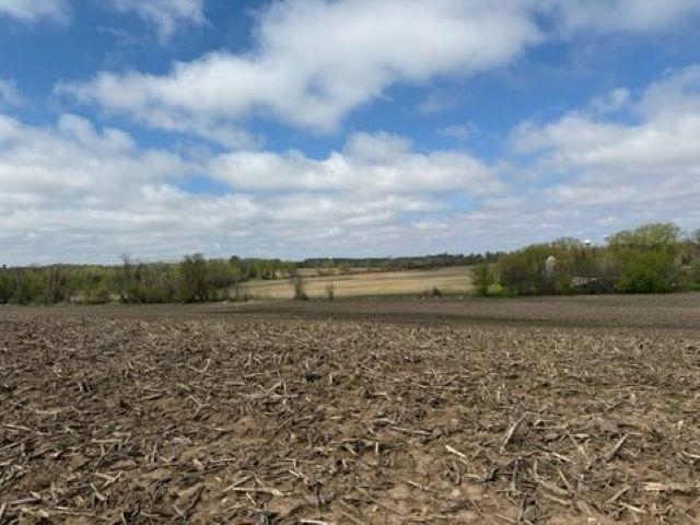 Madison Road, Unit 2 Mayville, WI 53050 - Photo 2 of 14
