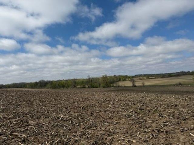 Madison Road, Unit 2 Mayville, WI 53050 - Photo 5 of 14
