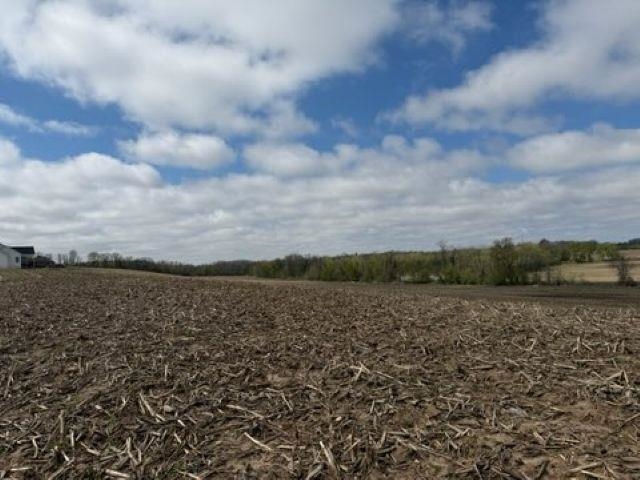 Madison Road, Unit 2 Mayville, WI 53050 - Photo 6 of 14