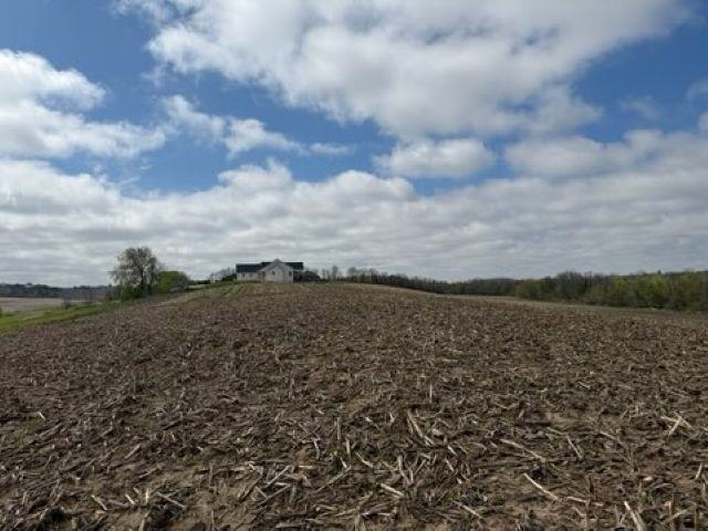 Madison Road, Unit 2 Mayville, WI 53050 - Photo 7 of 14