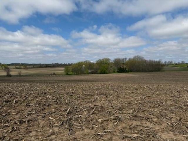 Madison Road, Unit 2 Mayville, WI 53050 - Photo 8 of 14