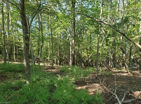 $450,000 | 652 Johnson Ridge Road, Elkin, NC 28621