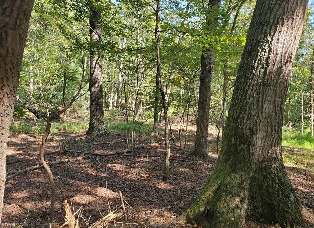 652 Johnson Ridge Road Elkin, NC 28621 - Photo 14 of 25