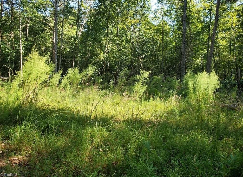 652 Johnson Ridge Road Elkin, NC 28621 - Photo 17 of 25