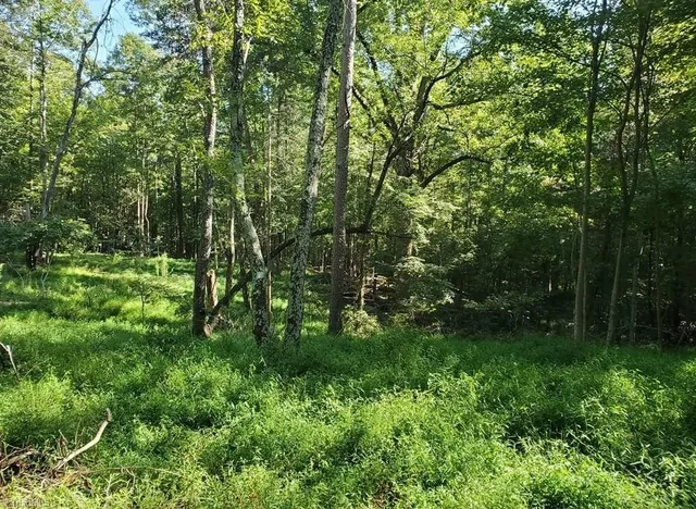 $450,000 | 652 Johnson Ridge Road, Elkin, NC 28621