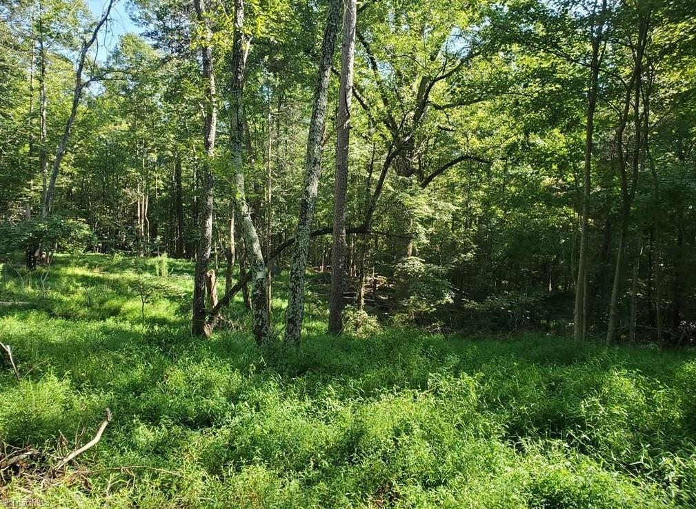 652 Johnson Ridge Road Elkin, NC 28621 - Photo 18 of 25