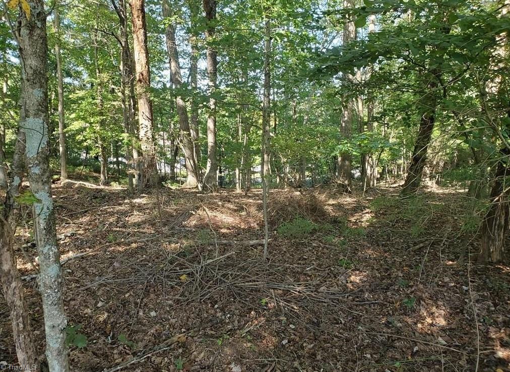 652 Johnson Ridge Road Elkin, NC 28621 - Photo 10 of 25