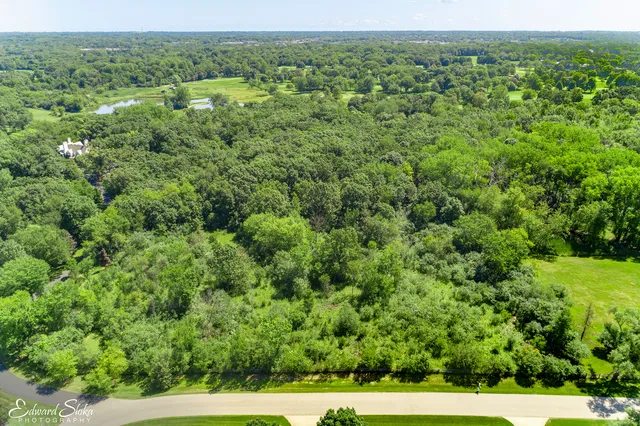 a view of a green field with lots of bushes