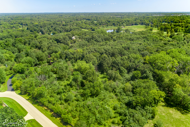 Lot 0 Steeplechase Road Chicago, IL 60639 - Photo 9 of 12 a view of a green field with lots of bushes