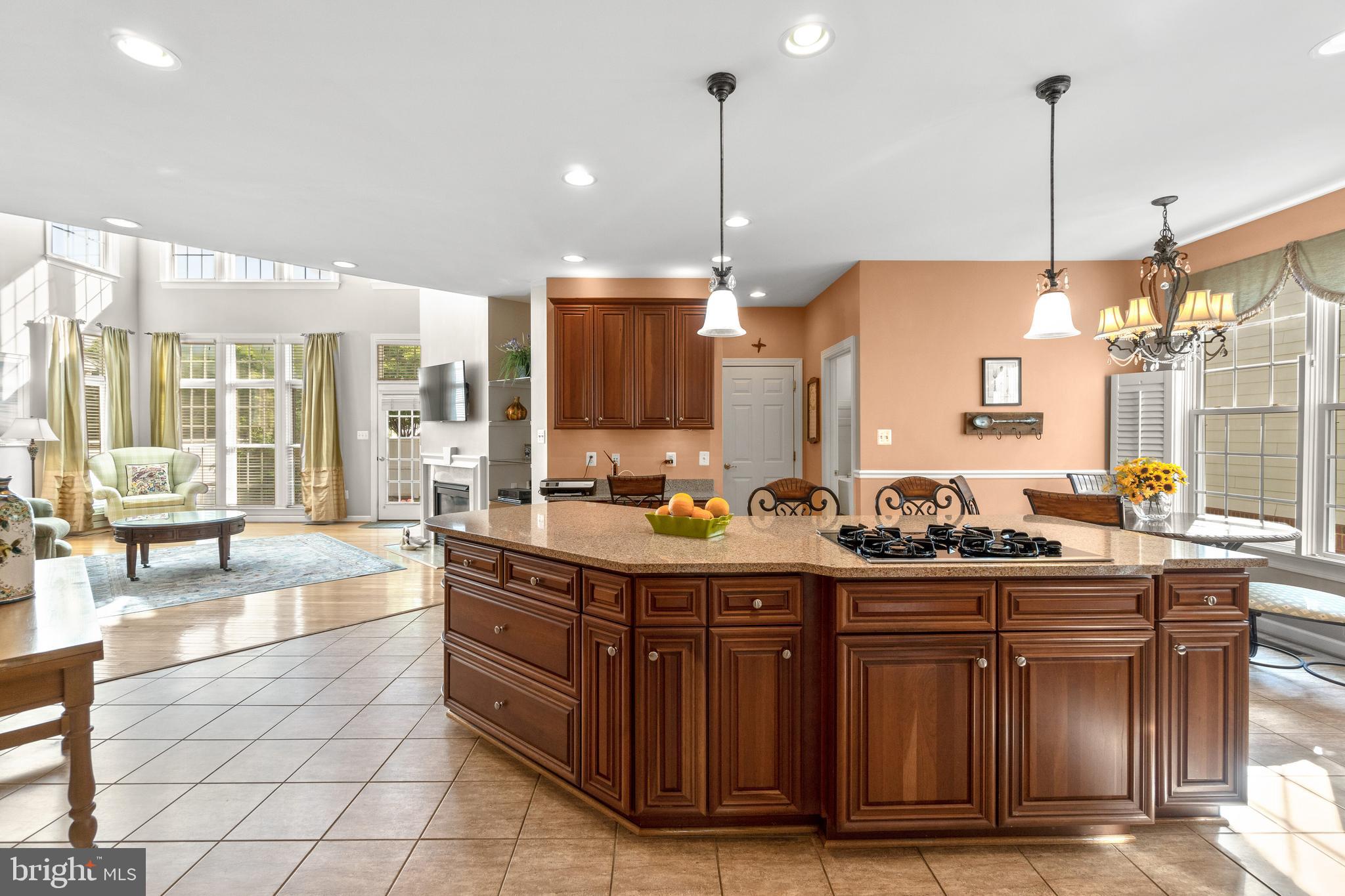 705 Pilot House Drive Annapolis, MD 21401 - Photo 19 of 58 Kitchen