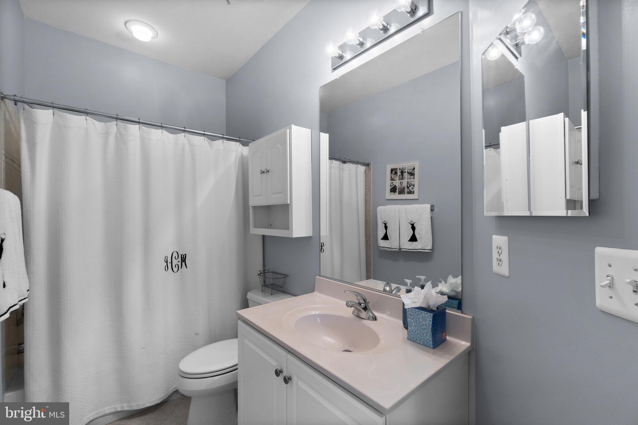 705 Pilot House Drive Annapolis, MD 21401 - Photo 47 of 58 Full bathroom 3