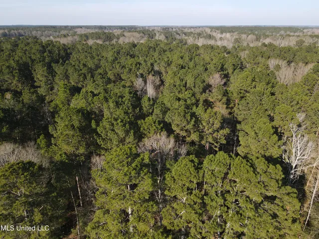 $37,500 | 7729 North Hill Dr Summit, Summit, MS 39666