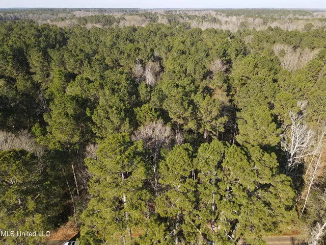 $37,500 | 7729 North Hill Dr Summit, Summit, MS 39666