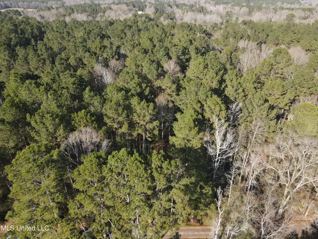 $37,500 | 7729 North Hill Dr Summit, Summit, MS 39666