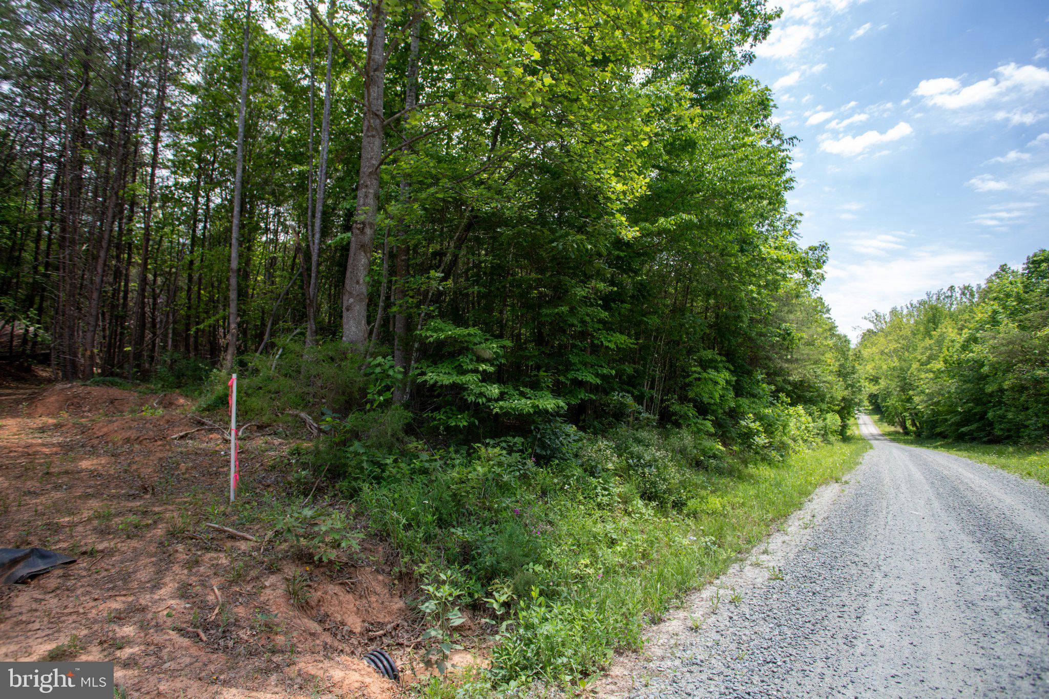 Tbd Brandon Road, Unit 4 Chatham, VA 24531 - Photo 1 of 31 Gallery Image 1