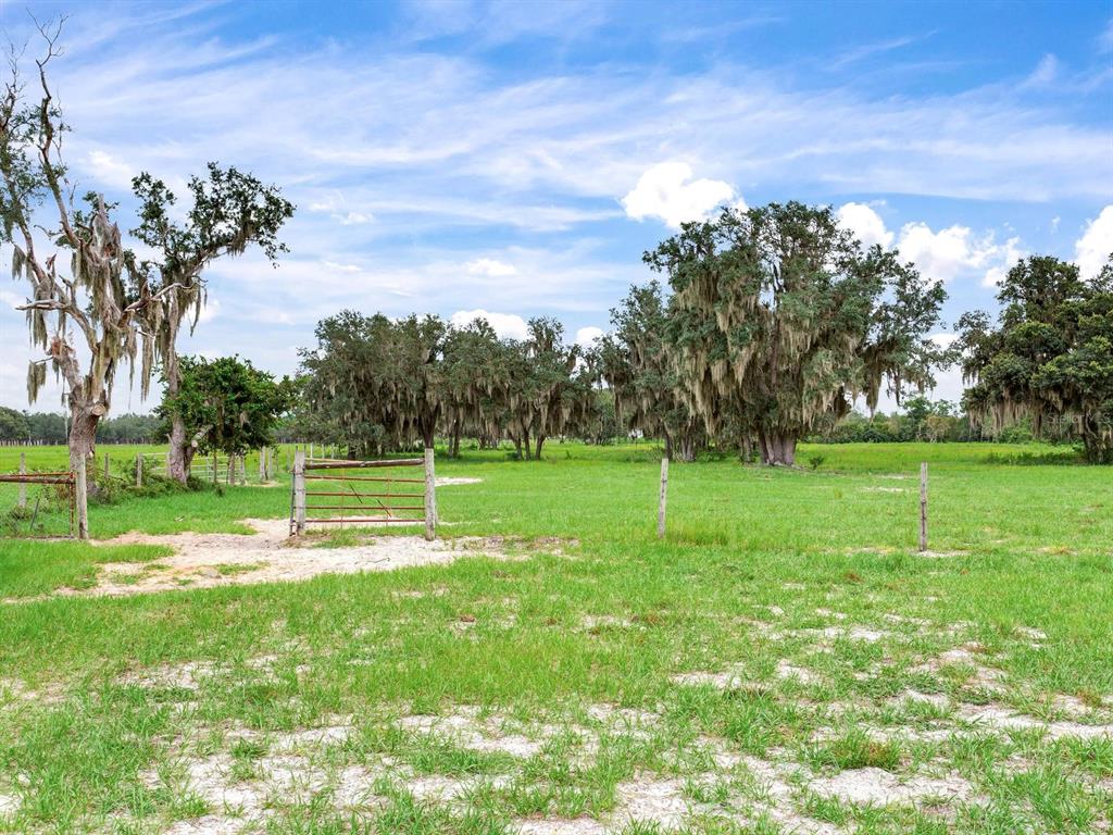 Lake Buffum Road North Lake Wales, FL 33859 - Photo 18 of 23 Gallery Image 18