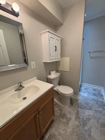 a bathroom with a sink a toilet a mirror and vanity