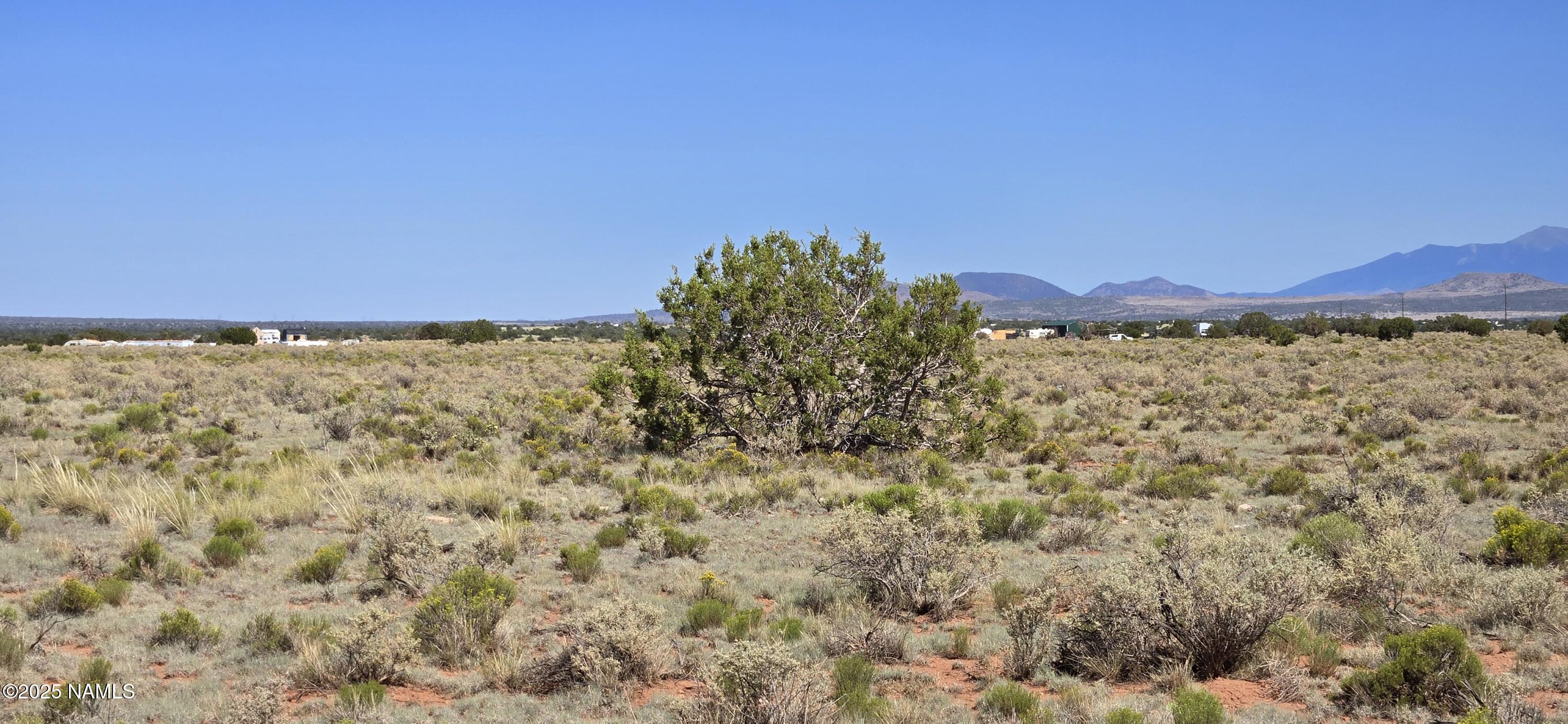 2334 South Spring Street Williams, AZ 86046 - Photo 7 of 7 20250724_153600