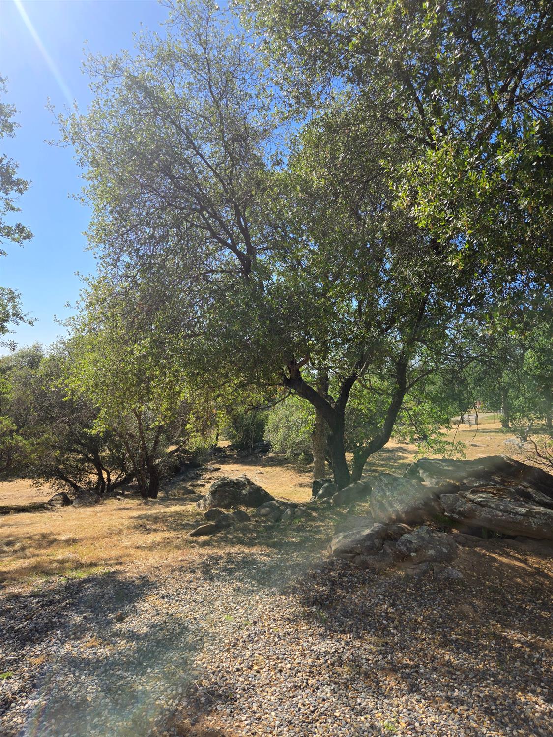 36846 Batti Road Coarsegold, CA 93614 - Photo 3 of 19