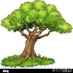 a view of a tree in a yard