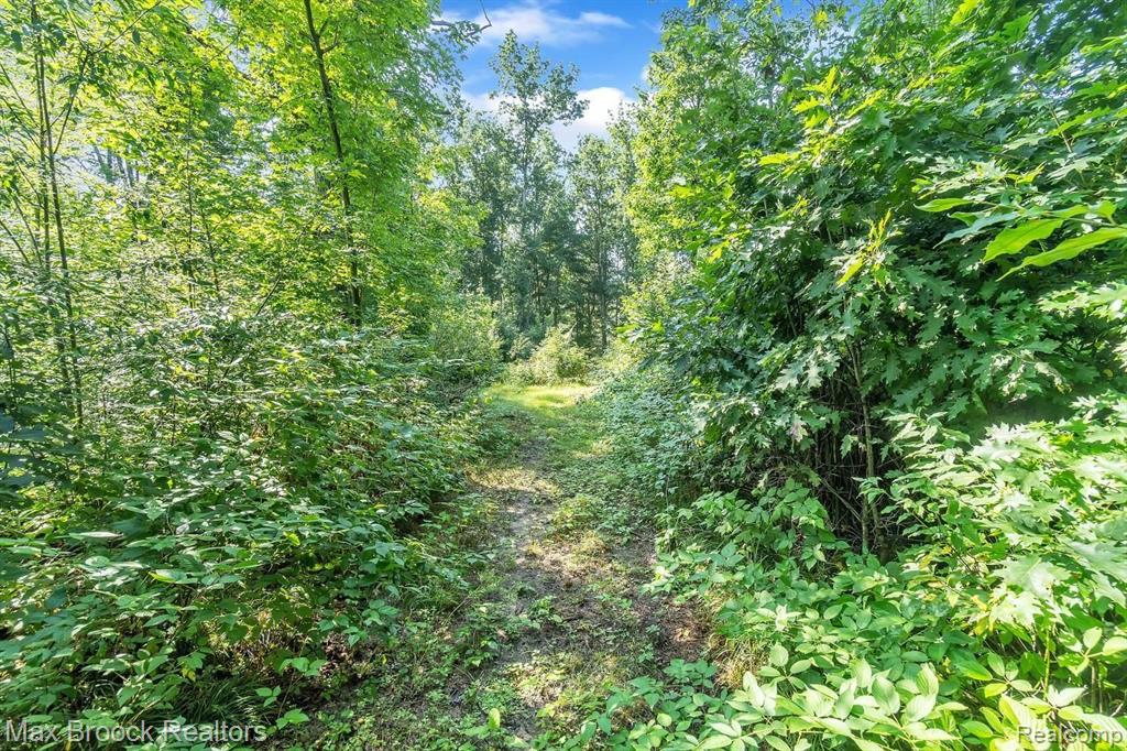 2834 Washburn Road Vassar, MI 48768 - Photo 22 of 35