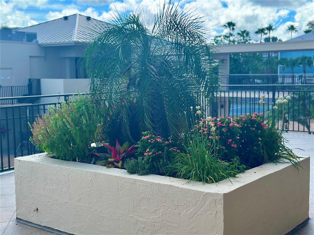 420 Beach Road, Unit 203 Sarasota, FL 34242 - Photo 55 of 91