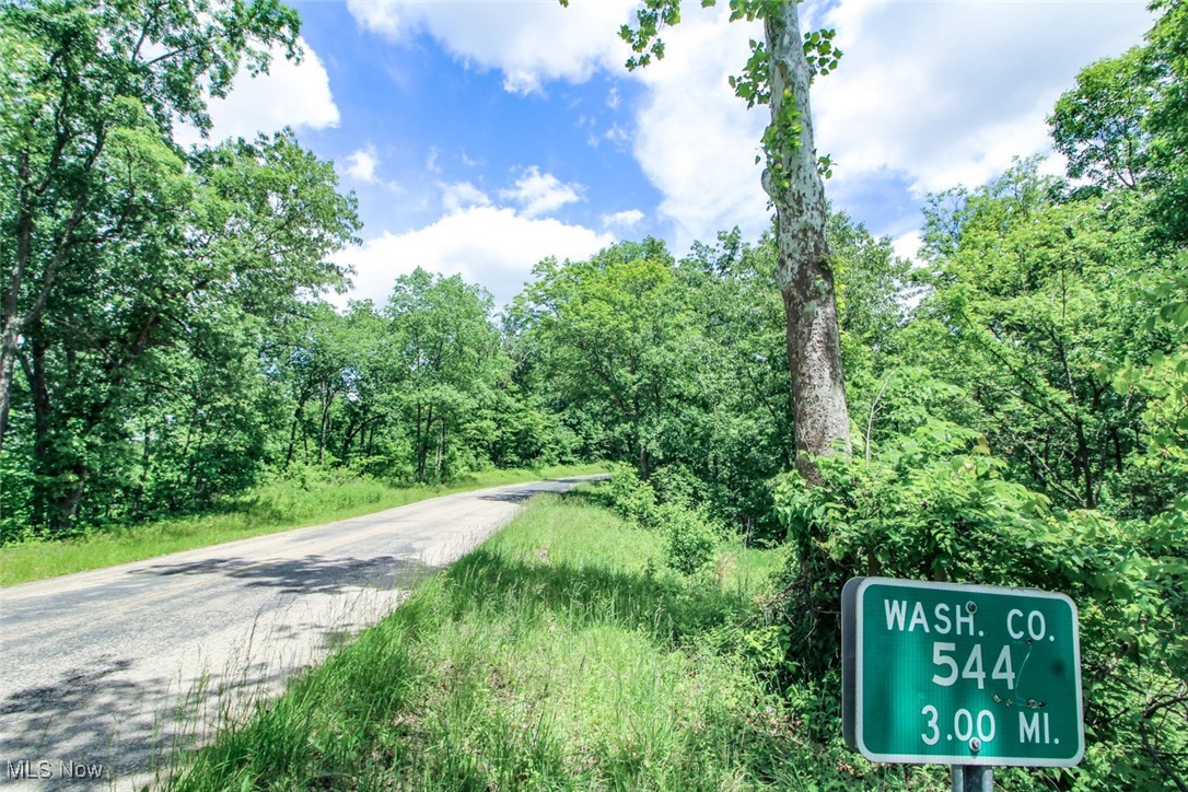 19 Zion Ridge Road Marietta, OH 45750 - Photo 16 of 19 View of road featuring a forest view