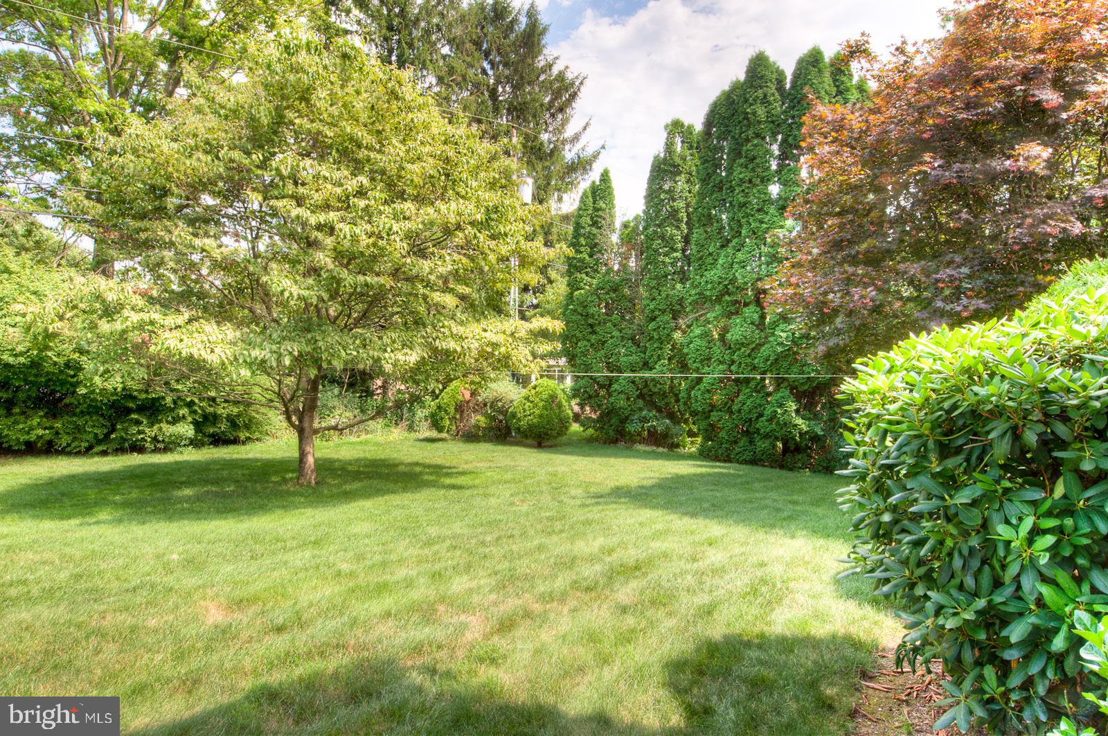 1834 North Eden Road Lancaster, PA 17601 - Photo 48 of 51 Back Yard