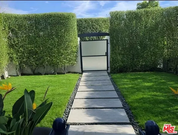 a view of a garden with plants