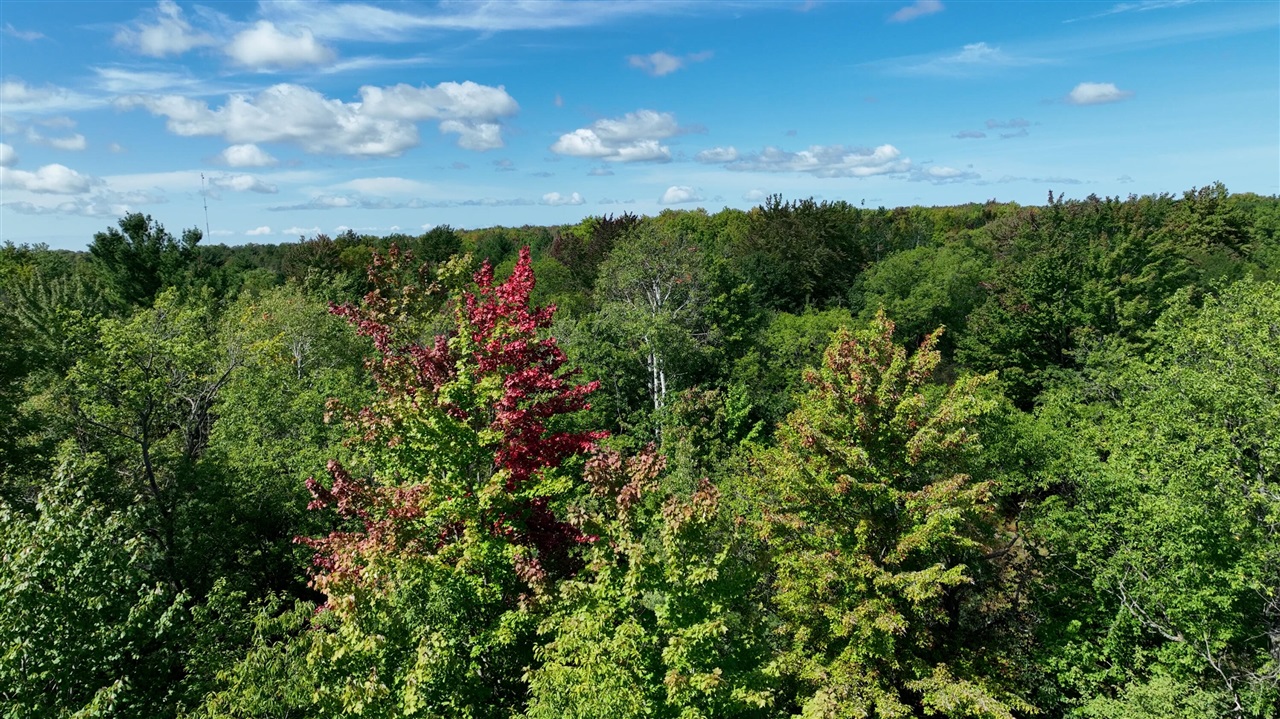 Wood Road Kalkaska, MI 49646 - Photo 14 of 14 Gallery Image 14