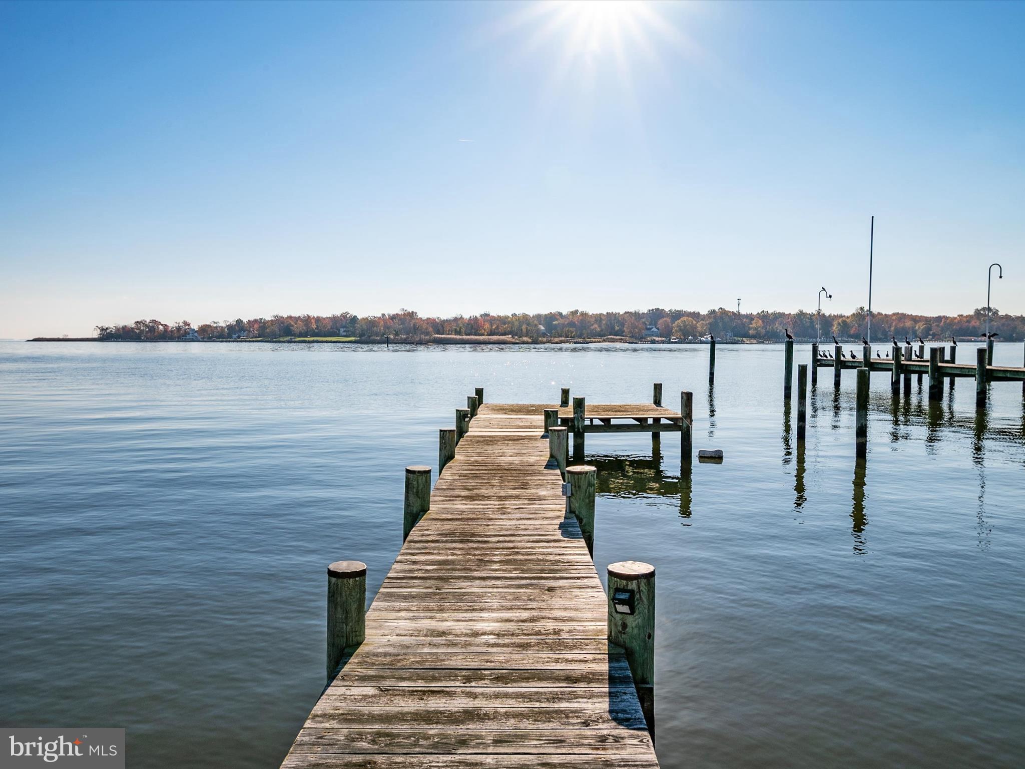 7803 SW Road Pasadena, MD 21122 - Photo 4 of 49 Waterfront Dock