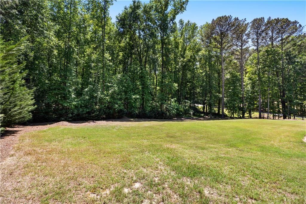 915 Magnolia Way Hampton, GA 30228 - Photo 11 of 68 a view of an outdoor space and a yard