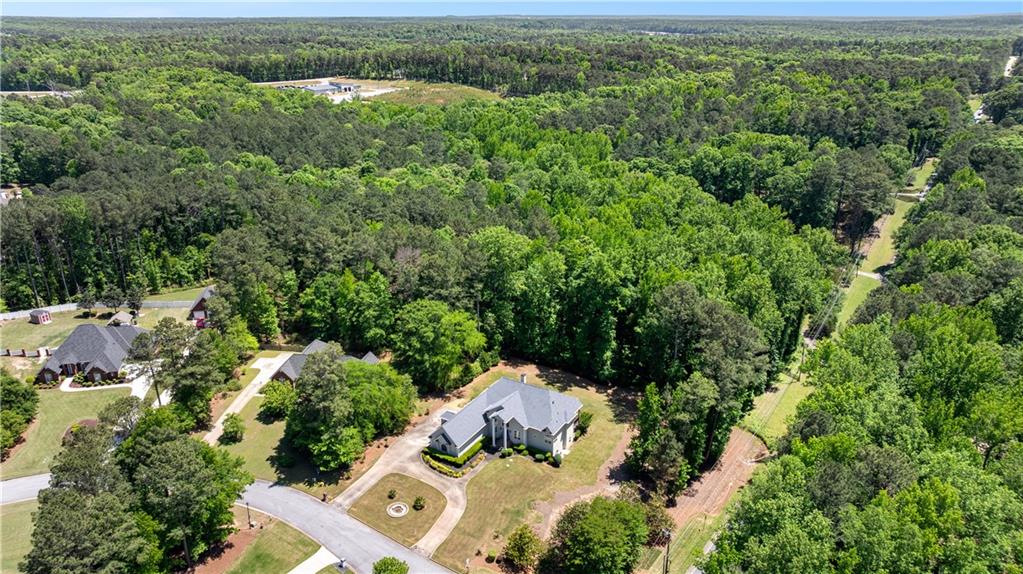 915 Magnolia Way Hampton, GA 30228 - Photo 7 of 68 an aerial view of a house with yard